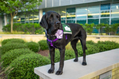 Sam-ChildrensCalendar-2025-8787