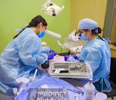 dental-patient