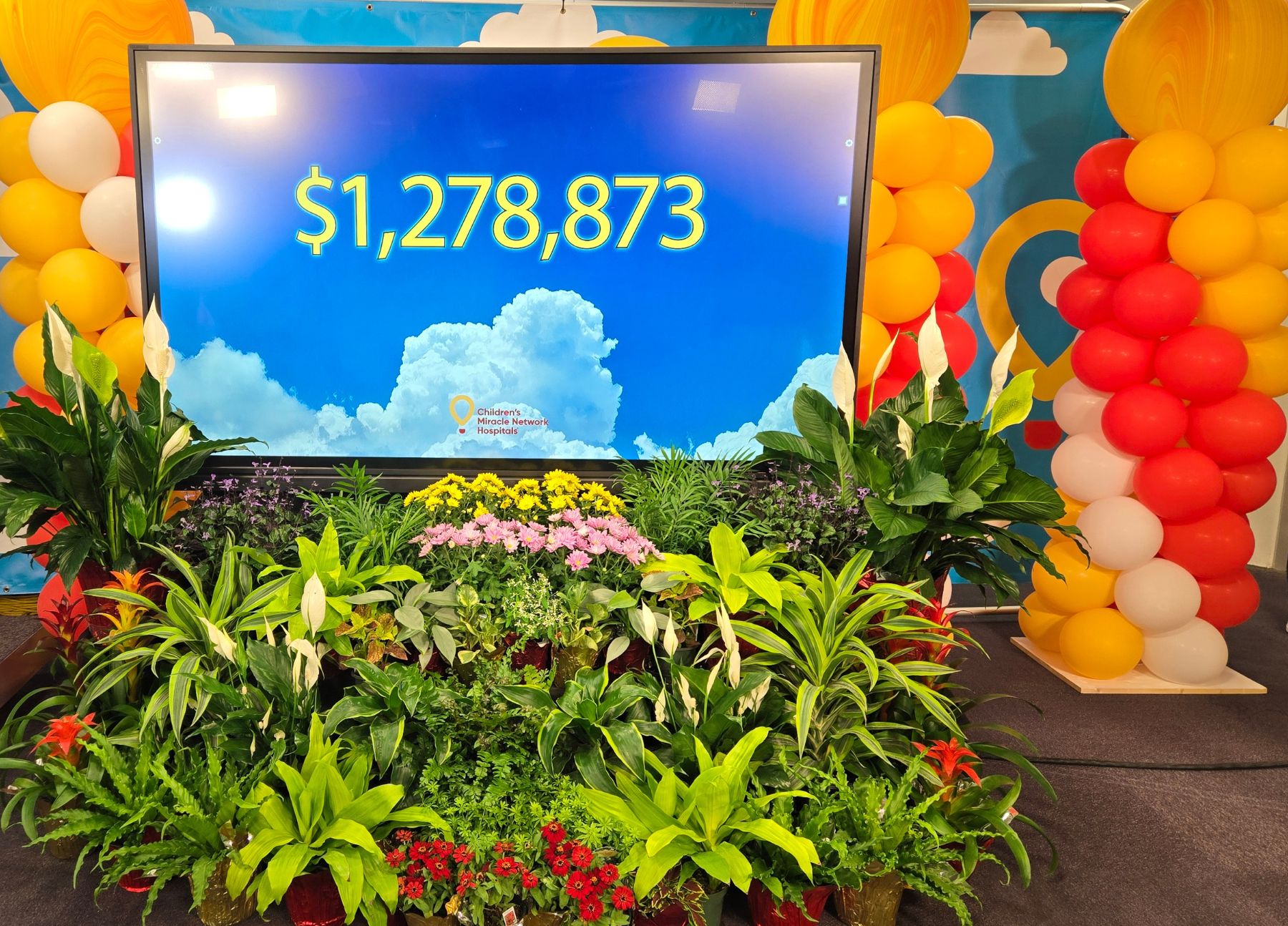 6-5-25 Telethon